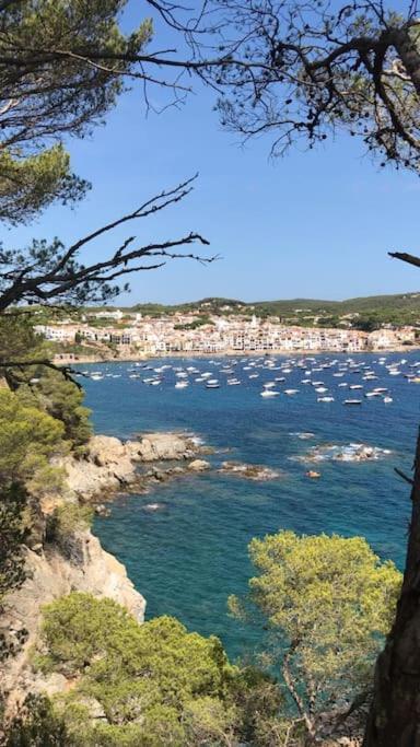 The Golden Oak In Calella Centre - 100M From Beach Palafrugell Dış mekan fotoğraf